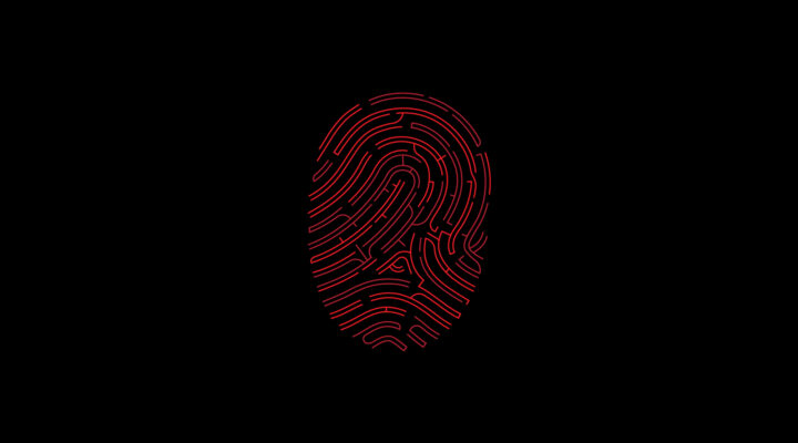 Red fingerprint that forms an internal maze.